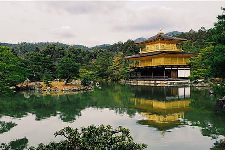 golden pavilion overlooking pond and zen gardens